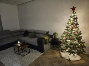 Brussels Louise Penthouse