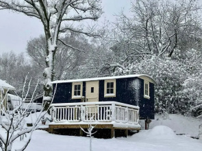 Haslemere - Cabin - Sleeps 2 - Parking - Garden