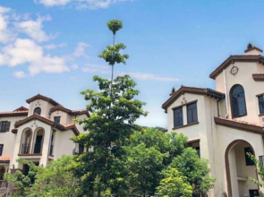 Nankun Mountain Resort Villa No.1