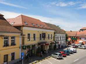 Hotel Leul de Aur