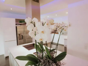 Luxury Apartment & Penthouse Villa