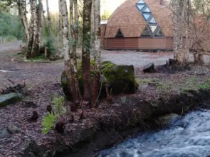 Dormis del Bosque