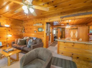 Pine Forest Cabin