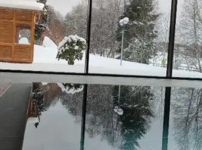 Schluchsee Ferienwohnung 22010