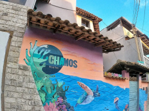 Chamos Hostel Cultural