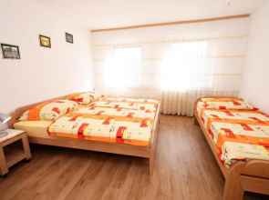 Apartmaji Berginc