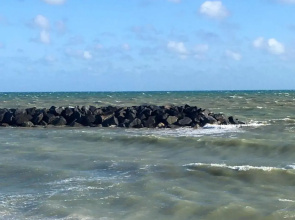 The Bow