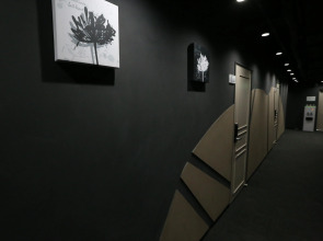 Philstay Ehwa Boutique - Female Only (только для женщин)