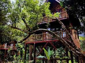 Our Jungle Camp - Eco Resort