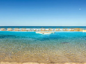 Ocean Sahl Hasheesh
