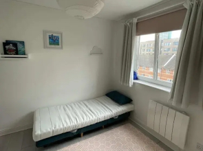 2BD Flat With Views of Canary Wharf - Rotherhithe