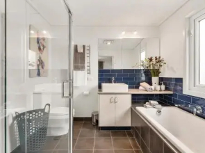 Blue Rosella on Piper