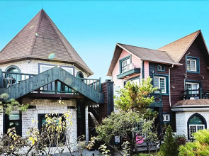 Chuncheon(Namiseom) Remember Pension (Spa, BBQ, Pick up)