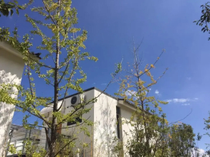 Dali Xiaoyuanzi Boutique Hotel