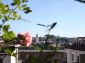 Il Garofano Rosa