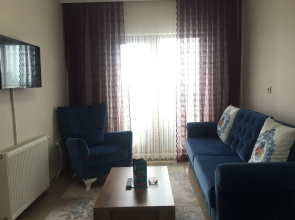 Travel in Home