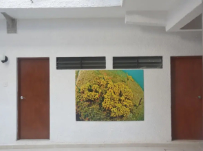 Hotel Acapulco Amor
