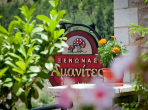 Amanites Guesthouse