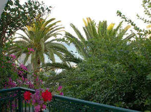Paradise Hotel