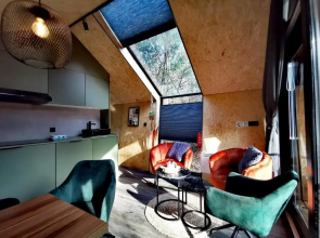 Diamond Suite in the woods