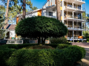 Buxus Hotel Shekvetili