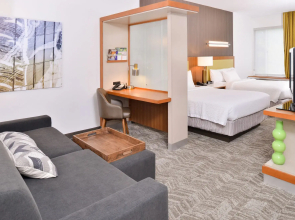 SpringHill Suites by Marriott Ashburn Dulles North