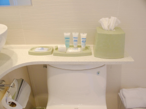 Wyndham Garden Long Island City Manhattan View Hotel