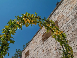 Casina Rossi