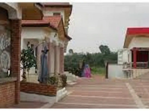 True Vine Hotel - Deluxe Double