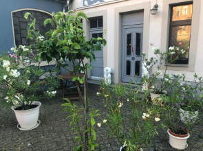 Kunstoase am blauen Haus