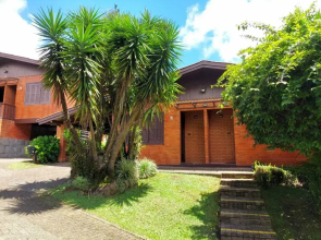 Canto Verde