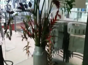Eco Hostel