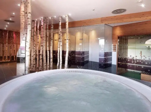 INNs HOLZ