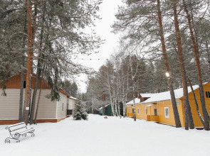 Северная Звезда