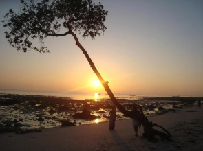Cross Bill Beach Resort