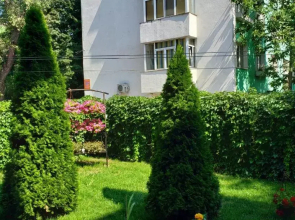 Vila 33