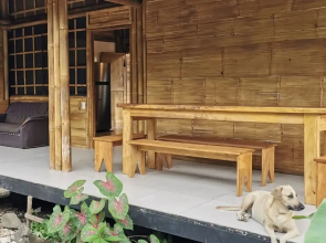 Bamboo Surf House - Hostel