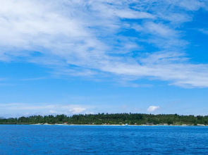 Pamilacan Island Paradise Hotel