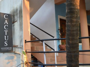 Cactus Guesthouse