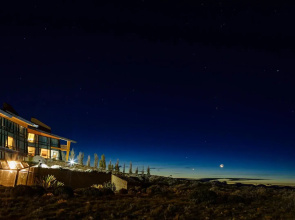 Design Suites Calafate
