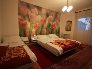 Apartment Grabrova