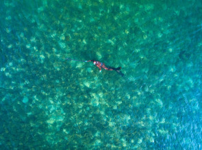 Phangan Island View Hotel