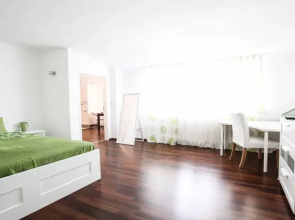Joes Apartments - Franz-Josefs Kai 15