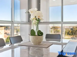 Amazing scene/ 2Br Apt / Shopping/Train/Hospital
