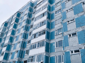 Crocus in the Vostochny microdistrict