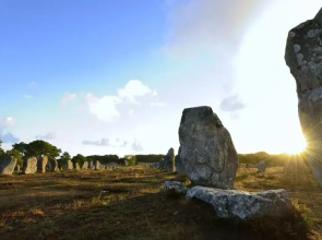 Becassine des Marais