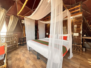Nestonature Glamping Dharamshala