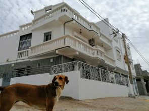 Cozy White House - Hostel