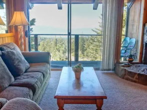 Tahoe Village 307A