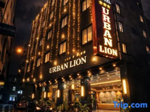 Hotel Urban Lion - Igi Airport Delhi